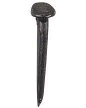 BLISTER 24 TACHUELAS CELOSIA NEGRA 6x10mm
