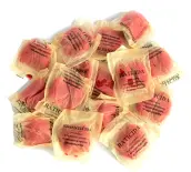 RATICIDA CEBO FRESCO 150gr PROFESIONAL PREVALIEN