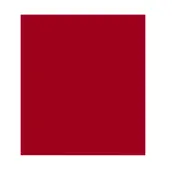 ESMALTE ROJO VIVO 250ml 523 TITANLUX