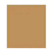 SPRAY ESMALTE OCRE 200ml F-1380 FELTON