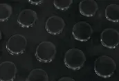 ROLLO SUELO GOMA CIRCULOS BOTONES NEGRO 10x1mt 3mm