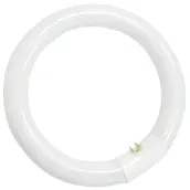 TUBO FLUORESCENTE CIRCULAR 22w 216mm T9 6400K 200800007 GSC